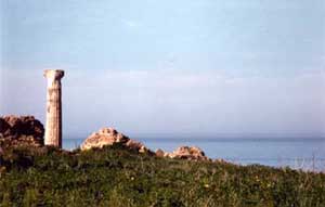 Centro del Mediterraneo: Santuario di Hera Lacinia a Capo Colonna, Crotone, Calabria, Italia   Fotografia: Francesco Saverio ALESSIO  1986 Copyright 