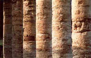 Centro del Mediterraneo: Il tempio di Segesta,  Belice, Sicilia, Italia  Fotografia: Francesco Saverio ALESSIO  copyright 1986